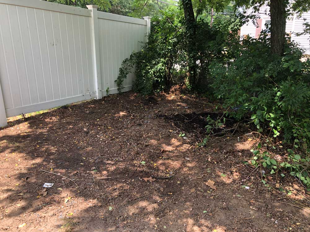 Backyard Pile After