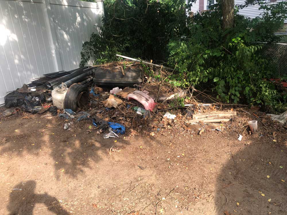 Backyard Pile Before